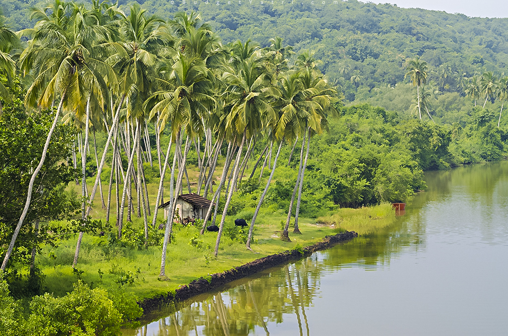 Vengurla Konkan